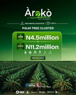Palm Trees Clauster, Ibadan, Oyo, Land for Sale