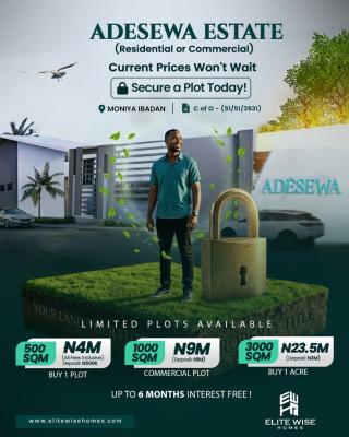 Residential Land and Commercial Land Are Selling in Ibadan, Adesewa Estate, Moniya, Ibadan, Oyo, Mixed-use Land for Sale