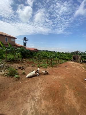 Cheap & Genuine Full Plot Verified & Ready for De, Igbogbo, Ikorodu, Lagos, Land for Sale