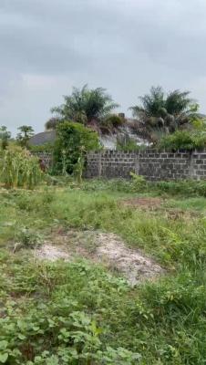 Fenced and Gated Dry Land (distress) Video Available, Gbetu, New Road, Awoyaya, Ajah, Lagos, Mixed-use Land for Rent