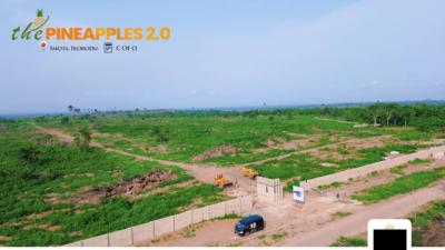 Affordable Land with C of O, Pineapple 2.0, Imota, Ikorodu, Lagos, Residential Land for Sale