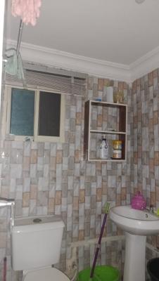 Standard Mini Flat Very Spacious Room and Sitting Room, Ikota, Lekki, Lagos, Mini Flat (room and Parlour) for Rent