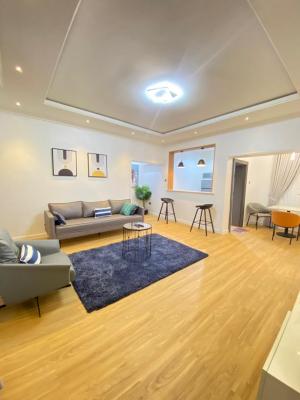 Luxury Smart 1 Bedroom Furnished and Service Apartment, Wuye, Abuja, Flat / Apartment Short Let