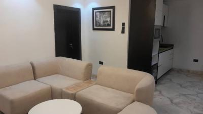 Luxury Studio Furnished Miniflat Apartments, Anthony Maryland Lagos, Anthony, Maryland, Lagos, Mini Flat (room and Parlour) for Rent