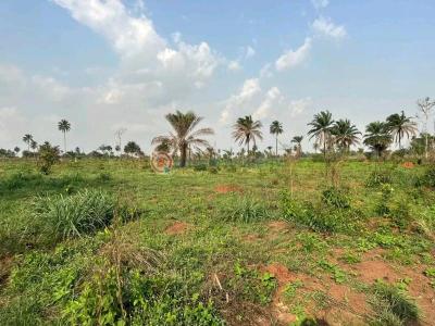 Large Plot of Land, Aso B, Mararaba, Abuja, Mixed-use Land for Sale
