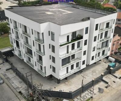 Fully Serviced 2 Bedroom Apartment, Lekki Phase 1, Lekki, Lagos, Flat / Apartment for Rent