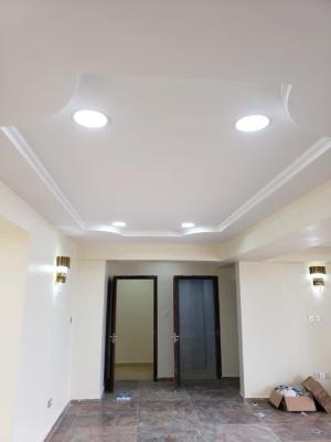 Very Urgent Apartments, Off Alexander Avenue, Old Ikoyi, Ikoyi, Lagos, Flat / Apartment for Sale