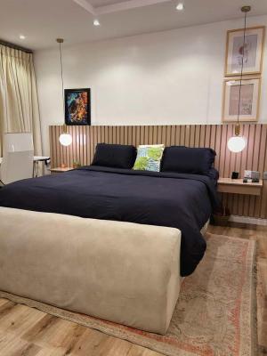 Luxury Furnished 2 Bedrooms Apartment, Ikate Elegushi, Lekki, Lagos, Flat / Apartment for Rent