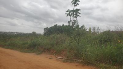 Very Affordable Full Plot of  Lands for Sal, Lagos Co-operative Housing Estate, Camp Davis Road, Ishefun, Ayobo, Ayobo, Lagos, Residential Land for Sale