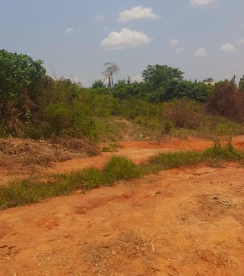 Plots and Acres of Residential Land at Ilewo, Ibara, Abeokuta, Ilewo, Ibara, Abeokuta North, Ogun, Residential Land for Sale