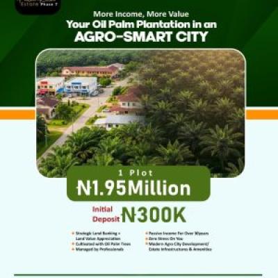 Affordable Agricultural Land with Up to 50 Years of Passive Income, Palmrich Estate Phase 7, Palm Fortune Agro Smart City, Ado-odo/ota, Ogun, Commercial Land for Sale