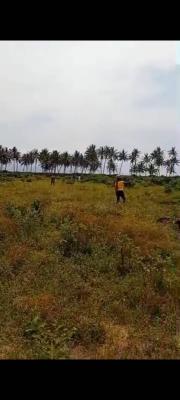 100 Acres (600 Plots) Land, Olomowewe Facing Coastal Road Backing Atlantic Ocean, Ibeju Lekki, Lagos, Mixed-use Land for Sale