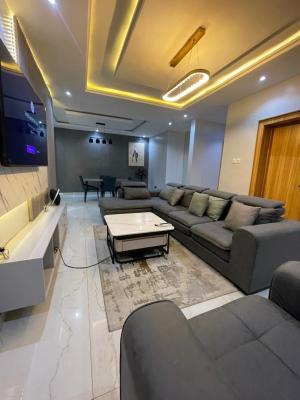 Lovely 2 Bedroom Apartment, Ikate, Lekki, Lagos, Flat / Apartment for Sale