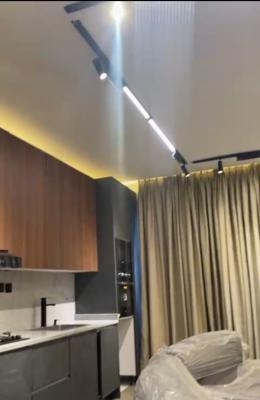 Luxury Furnished 2bedroom Apartment, Off Freedom Way, Behind Primewaters. Lekki Lagos, Lekki Phase 1, Lekki, Lagos, Flat / Apartment for Sale