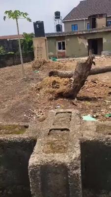 Rare 251 Sqm Table Land with Deed, Baale, Ikola, Ipaja, Lagos, Residential Land for Sale