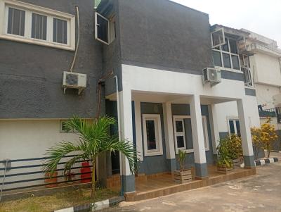 Furnished and 24/7 Serviced 1 Bedroom Apartment, Asokoro District, Abuja, Flat / Apartment for Rent