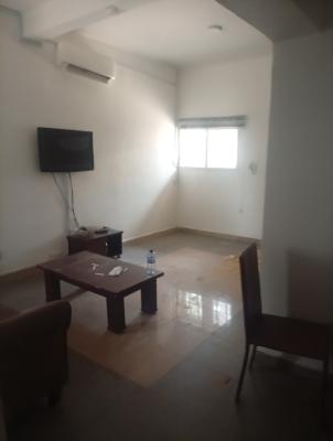 Fully Furnished and Serviced 24/7 Self Contain Apartment, Asokoro District, Abuja, Self Contain (single Rooms) for Rent