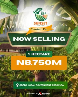 *from Soil to Success, Invest in Sunset Plantain Farm Today, Abeokuta North, Ogun, Commercial Land for Sale
