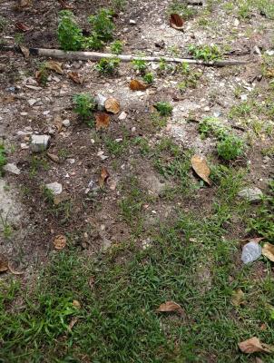 Strategic 600 Sqm Plot, Oyin Jolayemi Street, Victoria Island (vi), Lagos, Commercial Land for Sale