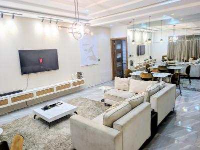 Nicely Furnished 2 Bedroom Apartment, Lekki Phase 1, Lekki, Lagos, Flat / Apartment Short Let