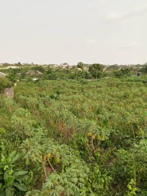 Prime Land in Maitama 2. Abuja, Maitama 2, Maitama District, Abuja, Residential Land for Sale