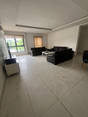 Well Spacious 3 Bedroom Apartment on The First Floor with Lift, Bellavue Estate, Life Camp, Abuja, Flat / Apartment for Rent