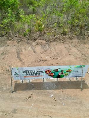 Earn Over 30million Naira Passive Income From Agriculture, Earn Over 30 Million Return on Cocoa & Plantain Farming, Abeokuta North, Ogun, Mixed-use Land for Sale
