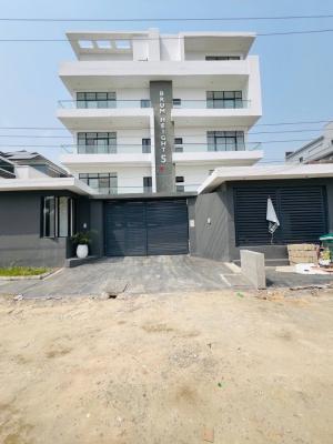 Comfortable 2 Bedroom Apartment, Ikate, Lekki, Lagos, Flat / Apartment for Rent