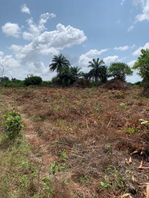 Springfield Oasis Estate, Arapagi Oloko, Ibeju Lekki, Lagos, Commercial Land for Sale