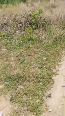Bareland of Approximately 550sqm, Ajayi Apaya Estate, Sangotedo, Ajah, Lagos, Residential Land for Sale
