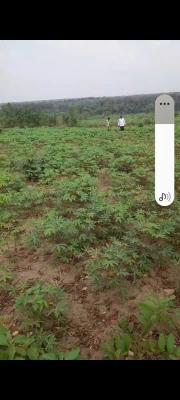 8 Plots of Land in a Serene Developed Area, Ibk Layout, Igboetche Road, Ikwerrengwo, Oyigbo, Rivers, Commercial Land for Sale