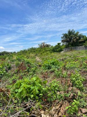 1,000sqm Bareland, Ajayi Apata, Sangotedo, Ajah, Lagos, Land for Sale