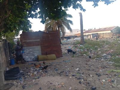 Four Plots on The Express Way, Express Way, Bogije, Ibeju Lekki, Lagos, Commercial Land for Rent