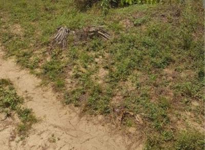 Joint Venture, Cmd Road Shangisha, Magodo, Lagos, Residential Land Joint Venture