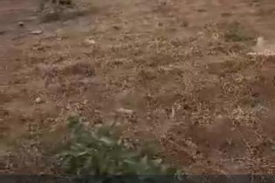 2,430.81sqm of Residential Land with C of O Handy, Opposite Maitama General Hospital, Maitama District, Abuja, Residential Land for Sale