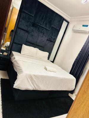 Lovely 2 Bedroom Apartment, Proper, Lekki Phase 1, Lekki, Lagos, Flat / Apartment for Rent