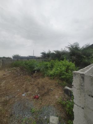 a Very Good Full Plot of  Dry Land, Eleko, Ibeju Lekki, Lagos, Mixed-use Land for Sale