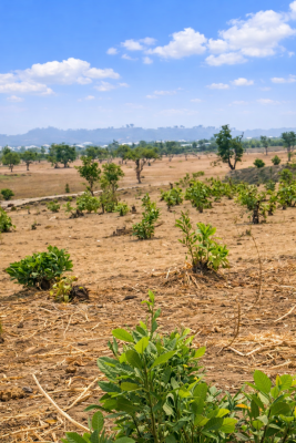 Semi Detached Duplex (250sqm), Kaimi Lugbe, Lugbe District, Abuja, Residential Land for Sale