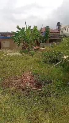Dry Land in a Secured Street ,lion of Judah Okunola, Salvation Road,lion of Judah, Idimu, Lagos, Residential Land for Sale