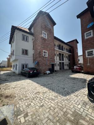 Distress Deal: Semi Furnished Well  Built 2 Bed Apartment, Ikota, Lekki, Lagos, House for Sale