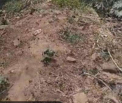 4 Hectares of Commercial Land with C of O, Zone 4, Wuse, Abuja, Commercial Land for Sale