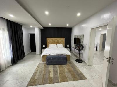 Well Furnished 4 Bedroom Semi-detached Duplex, Ajah, Lagos, Semi-detached Duplex for Rent