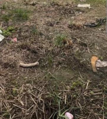 1,234.53m² of Land on a Tarred Road with C of O & Building Approval, Wuye, Wuye, Abuja, Residential Land for Sale