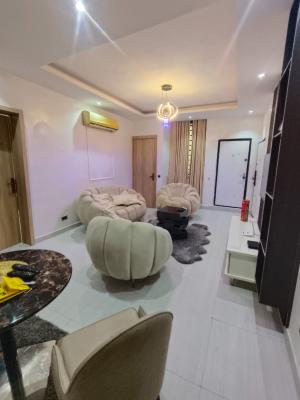 Best 2bed Deal in Ikate, Ilasan, Ikate Elegushi, Lekki, Lagos, Flat / Apartment for Rent