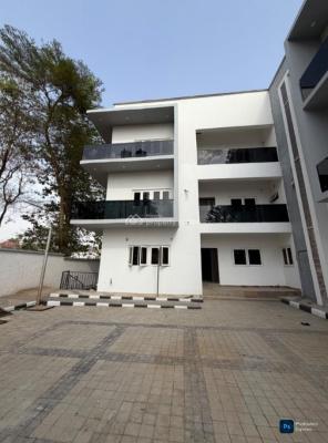 6 Bedroom Spacious Modern Premium Duplex, Asokoro Main, Asokoro District, Abuja, Terraced Duplex for Rent