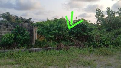 550sqm Dryland Between Crown Estate and Fara Park, Ajayi Apata Estate Between Crown Estate and Fara Park, Sangotedo, Sangotedo, Ajah, Lagos, Residential Land for Sale