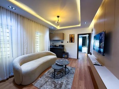 Premium 1 Bedroom Apartment (book 2 Night, Get 1 Free Promo Running), Akoka, Yaba, Lagos, Mini Flat (room and Parlour) Short Let