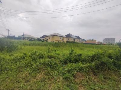 1370 Sqm, Bera Estate, Chevron, Lekki, Lagos, Residential Land for Sale