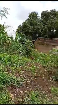 Mixed Use Land, Benin, Oredo, Edo, Mixed-use Land for Sale