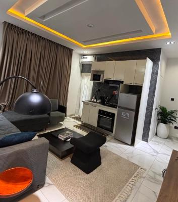 Beautifully Finished 1-bedroom Apartment, Old Ikoyi, Ikoyi, Lagos, Flat / Apartment for Sale